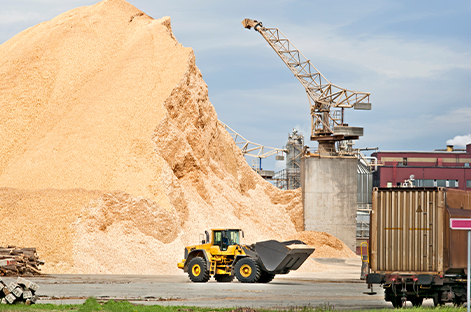 Wood pulp is the raw material used in papermaking and the major source of paper bags.